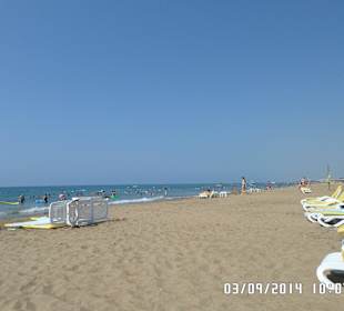 Strand