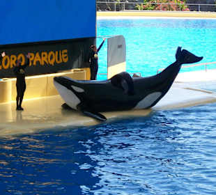 Loro Park- Ein Muß!