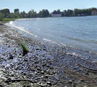 Wasserburger Bucht
