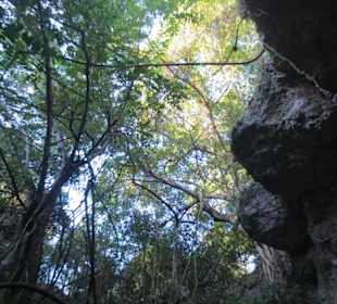 Cueva de las Maravillas