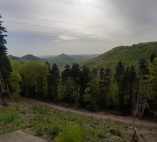 Aussichtsplattform Hermersbergerhof Pfälzerwald