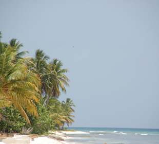 Strand beim Mittagessen