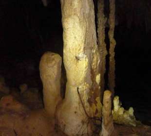 Höhlensystem der Cenote