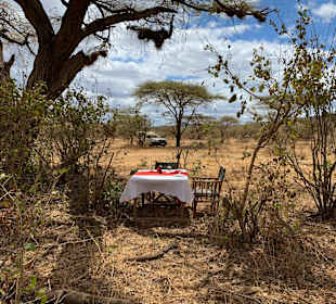 Tsavo West National Park