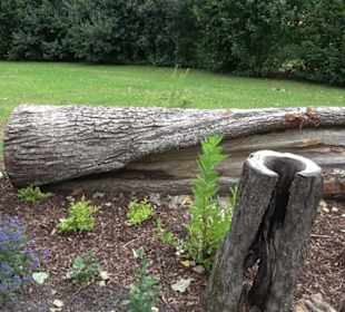 Blühendes Neresheim