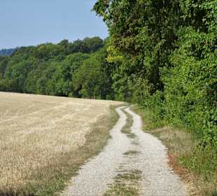 Auf dem Nothelferweg nach Vierzehnheiligen
