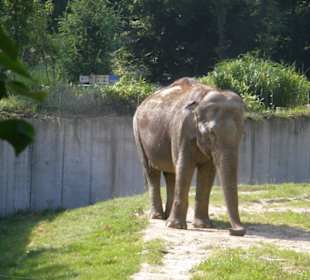 Zoo Ostrava