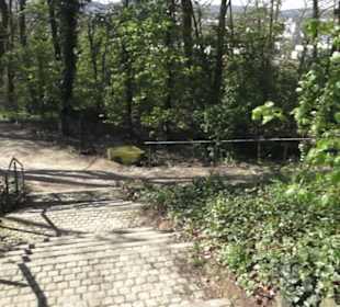 Gartenschau
