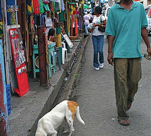 Grenada: Gewürzmarkt