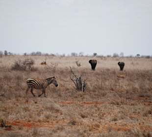 Typisches Bild im Park