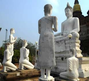 Wat Yai Chai Mongkon