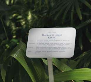 Anlage Planten un Blomen