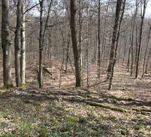 Geologischer Lehrpfad Kirnbachtal