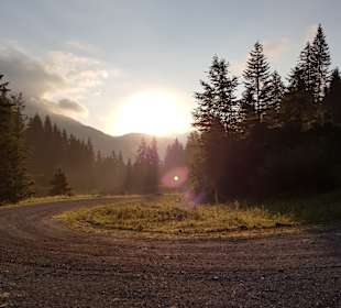 Wandern St. Martin im Lammertal