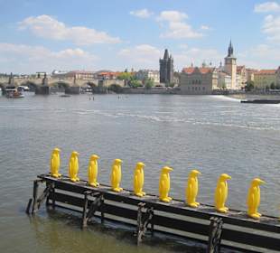 Am Kampa-Museum Blick auf die Karlsbrücke