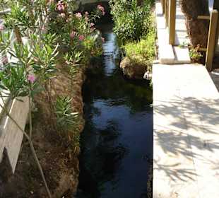 Самая глубокая часть бассейна