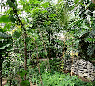 Mpressionen aus den Gewächshäusern