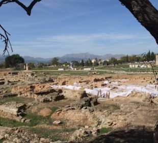 Die neuesten Grabungen sind mit Planen abgedeckt