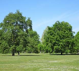 Impressionen aus dem Berggarten Hannover