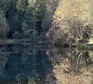 Kinzigsee