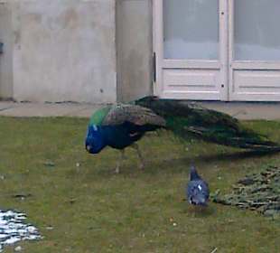 Łazienki wczesną wiosną.