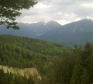 Rundherum war alles Wald