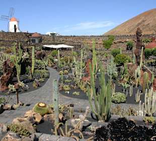 Jardin de Kaktus