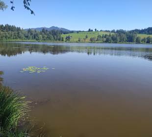 Moorsee