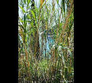 Strand Paleokastritsa