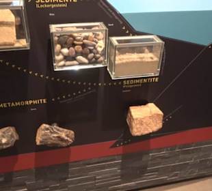 Museum Natur und Mensch