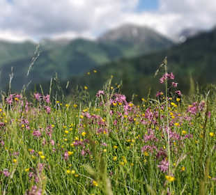 Wandern Mittelberg (Vorarlberg)