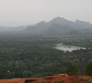 Blick auf den Dschungel