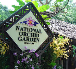Botanischer Garten Singapur 