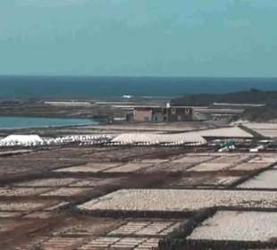 Salinas de Janubio