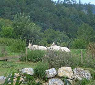 Keine Ahnung was da ist