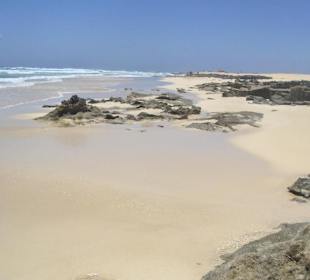 Parco naturale delle dune