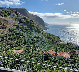 Inselrundfahrt Madeira