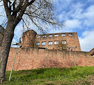 Burg Werheim