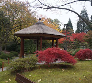 Parkanlage Planten un Blomen