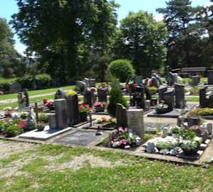 Friedhof