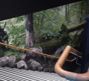 Naturparkzentrum Ruhestein