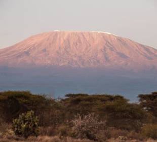 Kilimandscharo im Sonnenaufgang