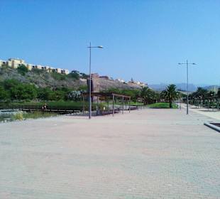 Parque del Sur in Maspalomas