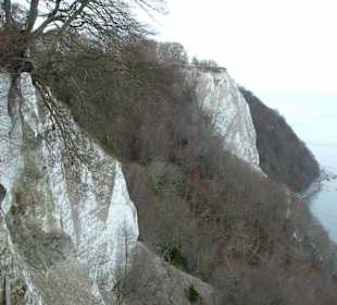 Der Königsstuhl
