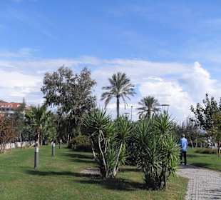 Promenade Strand