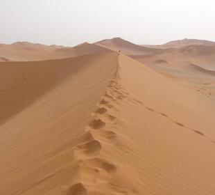 Blick auf das Sandmeer