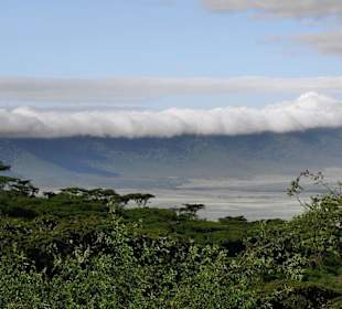 Ngorongoro Krater
