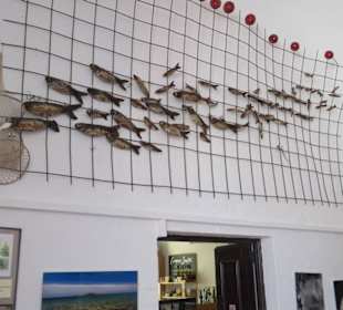 "Fliegende Fische" über den Eingang zum Shop