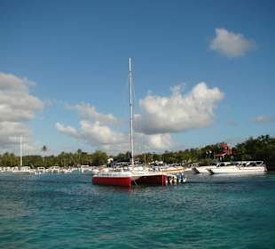 Zurück in Bayahibe