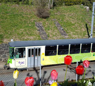 TPC-Zug in Villars sur Ollon